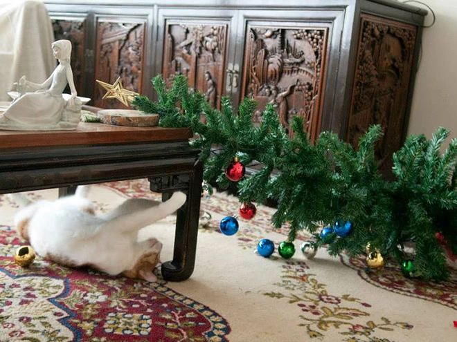 这些把圣诞树玩坏了的宠物们